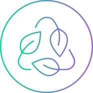 Icon 3